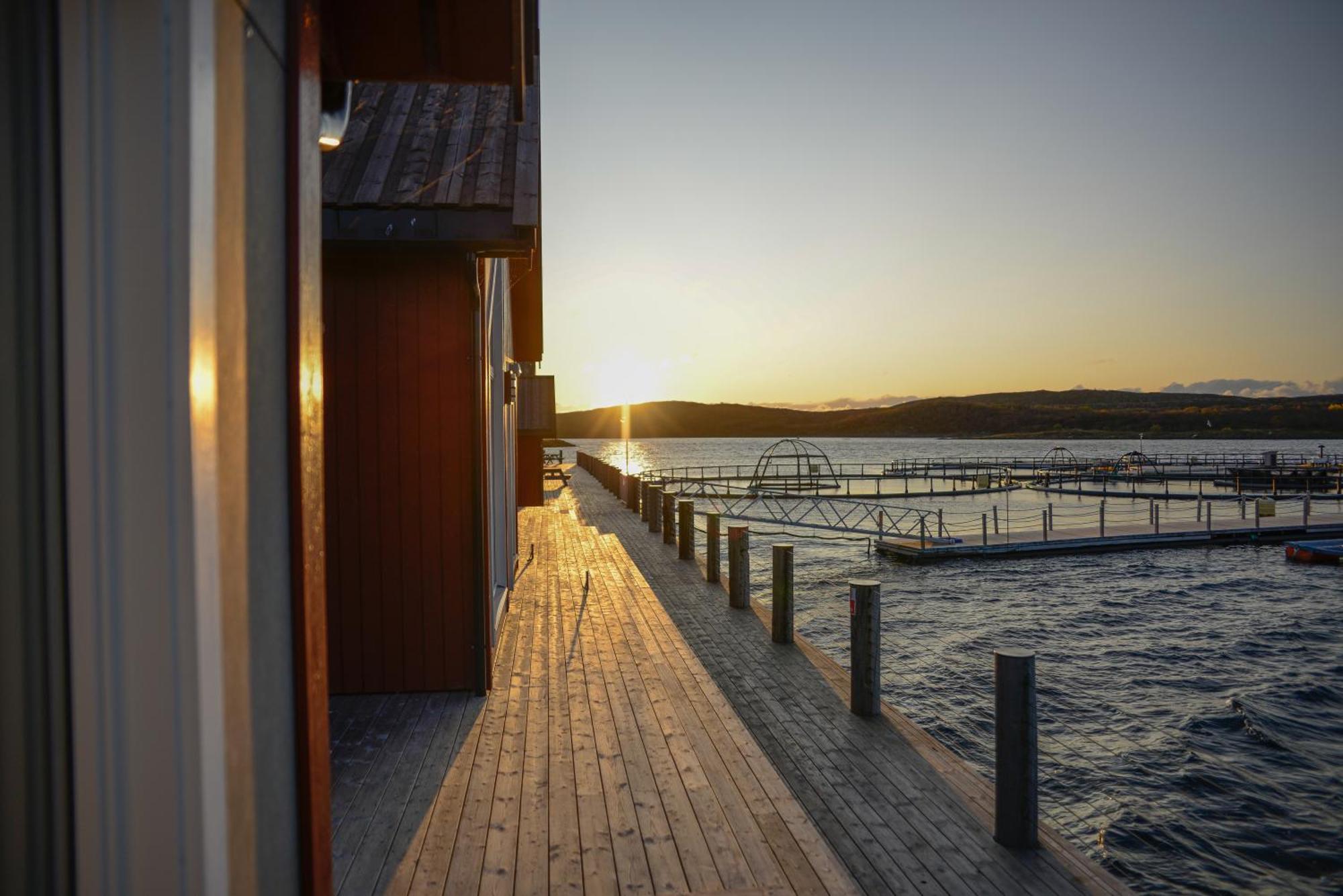 Norsk Havbrukssenter - Rorbuer Otel Bronnoysund Dış mekan fotoğraf
